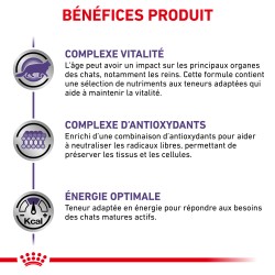 Cat Mature Consult émincé en sauce (sachet repas)