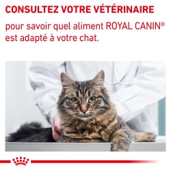 Cat Neutered Maintenance (sachet repas)