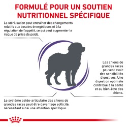 Neutered Adult Large Dog