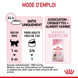 Cat Mother & Babycat Boîte