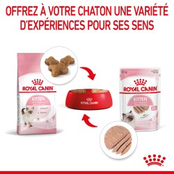 Cat Kitten Royal Canin Mousse Sachet repas