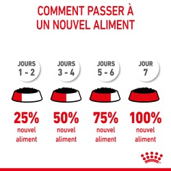 Cat Kitten Royal Canin Mousse Sachet repas