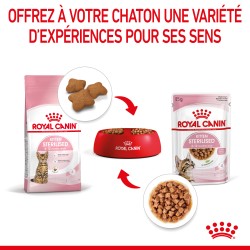 Cat Kitten Sterilised Emincé en sauce Sachet repas