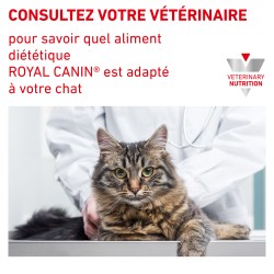 Veterinary Diet Cat Urinary SO