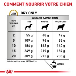 VETERINARY DIET DOG URINARY UC LOW PURINE