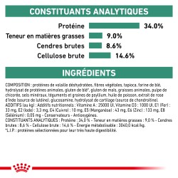 Cat Satiety Weight Management