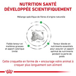 Dog Satiety Weight Management