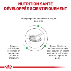 Dog Satiety Small Dog Weight Management