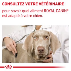 Dog Mature Consult Sachet Repas