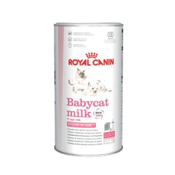 Babycat Milk