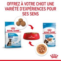 Dog Puppy Maxi Sachet repas