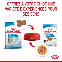 Dog Puppy Mini Sachet repas