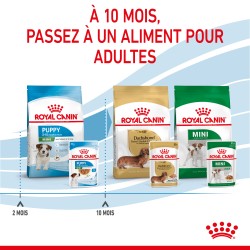 Dog Puppy Mini Sachet repas