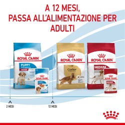 Dog Puppy Medium Sachet repas