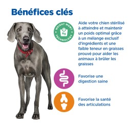 Vet Essentials Chien Multi-Benefit Weight Adult1+ Large Breed Poulet