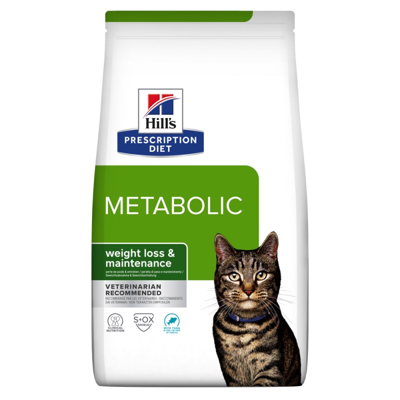 Chat Metabolic Thon