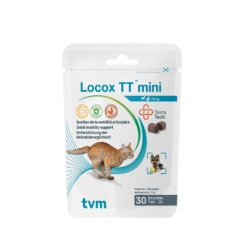 Locox TT Mini