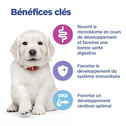 Vet Essentials Chien Multi-Benefit Puppy Large Breed Poulet