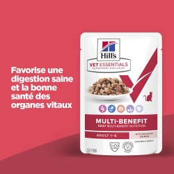 Vet Essentials Chat Multi-Benefit Adult1+ Saumon Sachet Repas