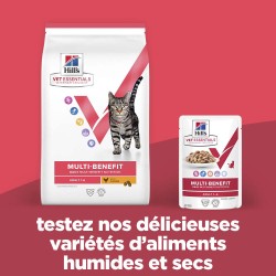 Vet Essentials Chat Multi-Benefit Adult1+ Saumon Sachet Repas