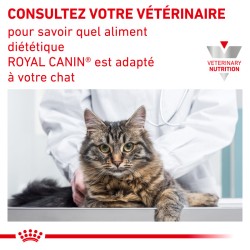 Cat Urinary S/O Moderate Calorie Morceaux Sachet repas