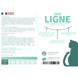 Préférence Chat ligne