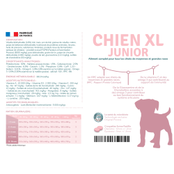 Préférence Chien Junior XL