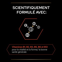 Pro Plan Multivitamins + Chien