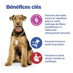 Vet Essentials Chien Multi-Benefit + Digestion Adult1+ Medium