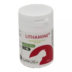 Lithamine Chat