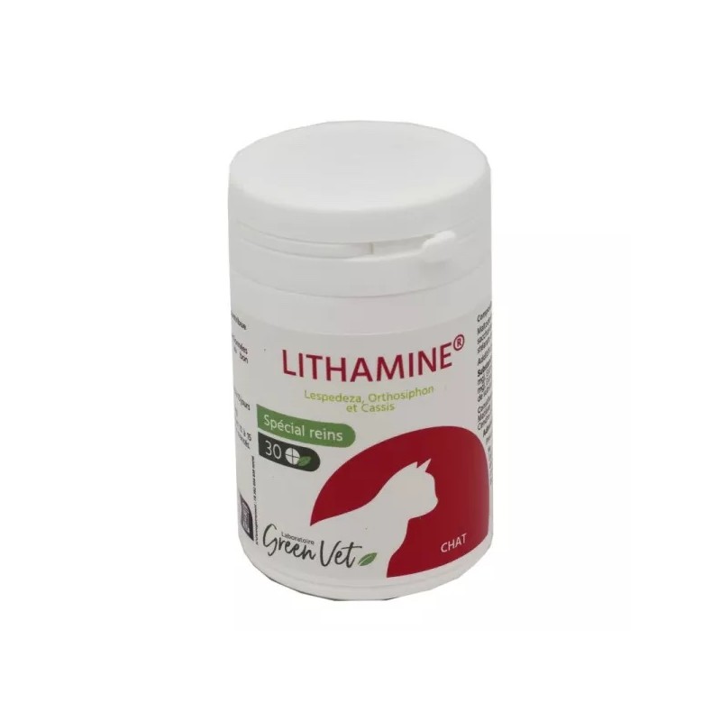 Lithamine Chat