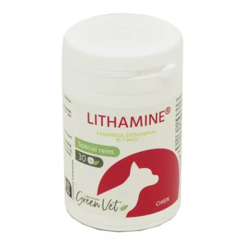 Lithamine Chien