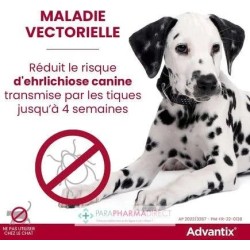 Advantix Grand Chien 25-40 kg