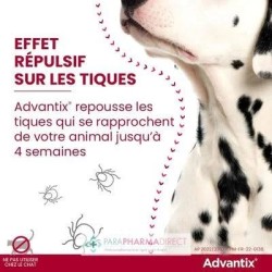 Advantix Grand Chien 25-40 kg