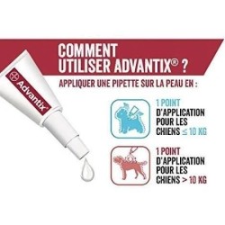 Advantix Grand Chien 25-40 kg