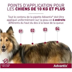 Advantix Grand Chien 25-40 kg