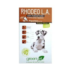 Rhodeo L.A. Grand Chien