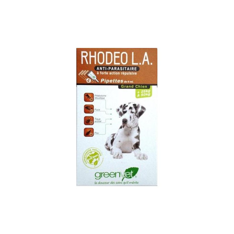 Rhodeo L.A. Grand Chien