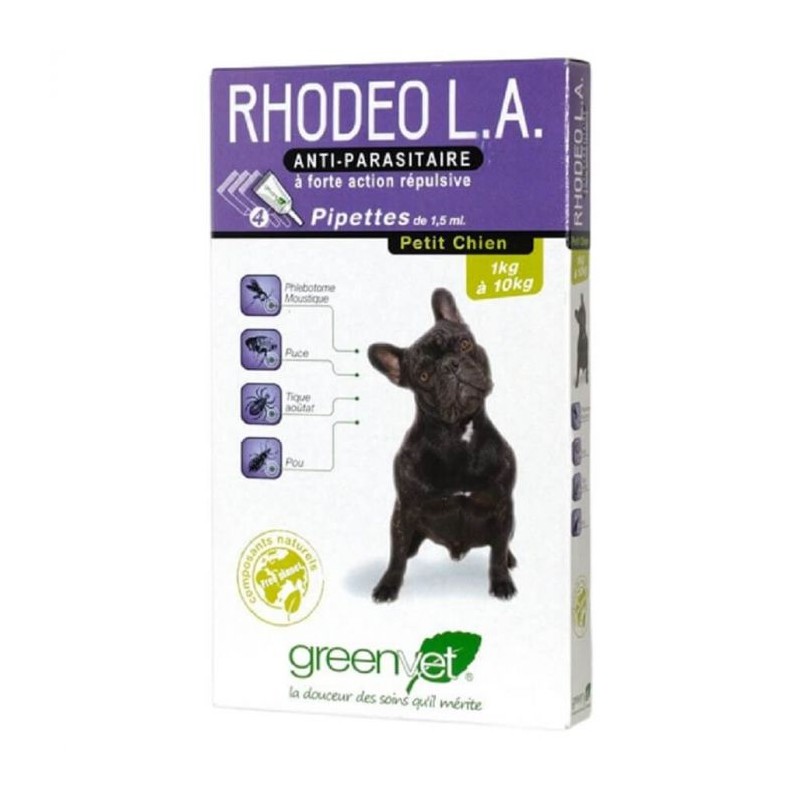 Rhodeo L.A. Pt Chien