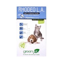 Rhodeo L.A. Chiot et Chaton