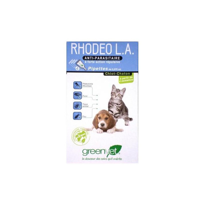 Rhodeo L.A. Chiot et Chaton