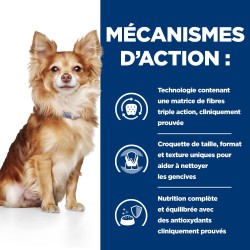 Prescription Diet Canine td Mini