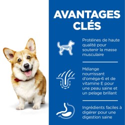 Science Plan Canine Adult Small & Mini Poulet