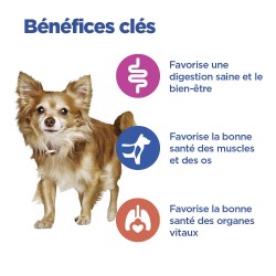 Vet Essentials Chien Multi-Benefit Adult1+ S&M Agneau & Riz