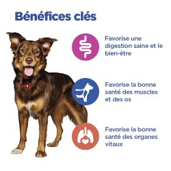 Vet Essentials Chien Multi-Benefit Adult1+ Medium Agneau & Riz