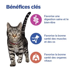 Vet Essentials Chat Multi-Benefit Adult1+ Mix Poulet Saumon Sachets Repas