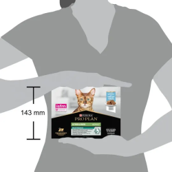 Cat Adult Sterilised Cabillaud Terrine Sachet repas