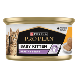 Cat Baby Kitten Mousse Poulet Boîte