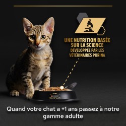 Cat Baby Kitten Mousse Poulet Boîte