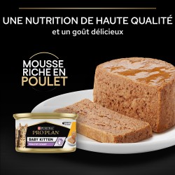 Cat Baby Kitten Mousse Poulet Boîte